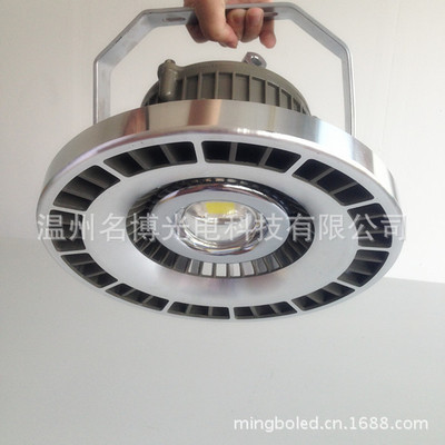 【LED投光燈 LED工廠燈 工礦產(chǎn)品 20W-120W 整體配件批發(fā) 質(zhì)保3年】價(jià)格,廠家,圖片,其他LED燈具,溫州名博光電科技-